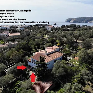 Hibiscus Cadaqués